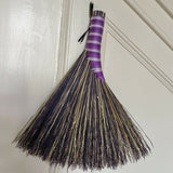 Hens Wing Hand Broom - The Colourful One