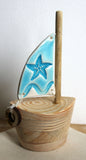 1 sail starfish close up