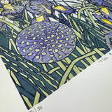 Irises and Alliums 2