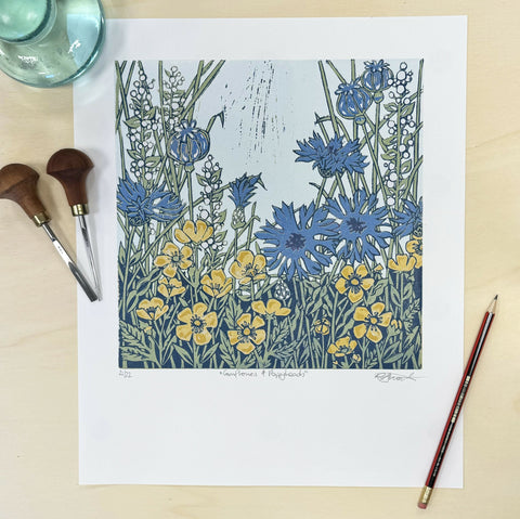 Cornflowers and Poppyheads 1