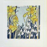 Daffodils and Snowdrops 1
