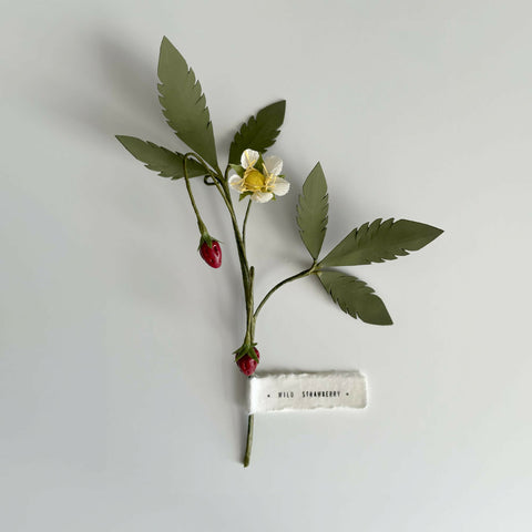 Hanging Wild Strawberry