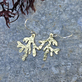 Brass Seaweed Earrings