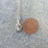 Small Silver Limpet Shell Pendant