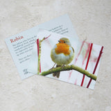 Robin - Hand Painted Brooch