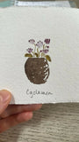 Cyclamen Pot - Original Framed Miniature Botanical Ink Painting