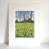Daffodils - A4 Giclée Print