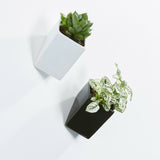 Off the Wall pots - large - black & white lifestyle -Thelermont Hupton