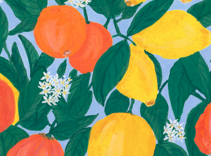 Citrus Collection Oranges and Lemons Horizontal Fine Art Print