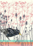 Starling - Art Print