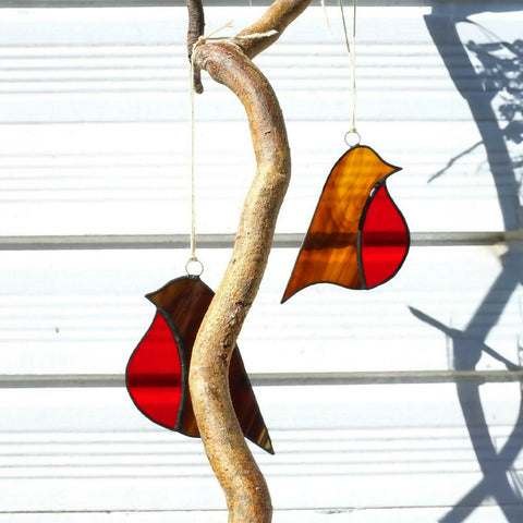 Robins