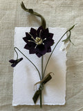 Winter Posy - Paper Sculpture