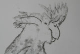 Black Cockatoo - Monoprint
