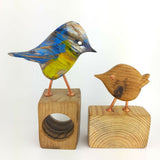 Blue tit wren 2 1024