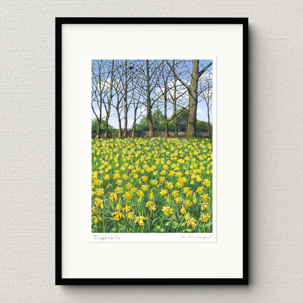 Daffodils - A4 Giclée Print