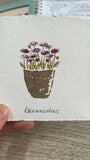 Ranunculus Pot - Original Framed Miniature Botanical Ink Painting