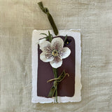 Winter Posy - Paper Sculpture