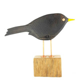 Cheeky blackbird looking reverse 1024
