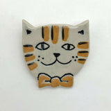 Kitten 34