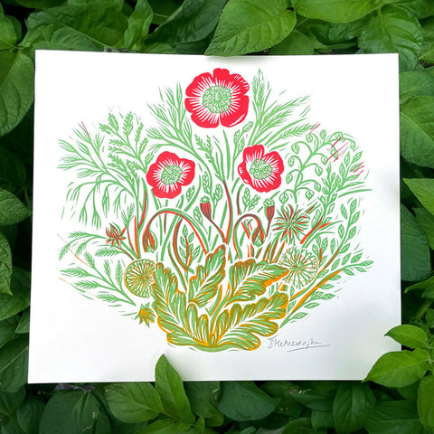 Wild Poppy - Lino Print