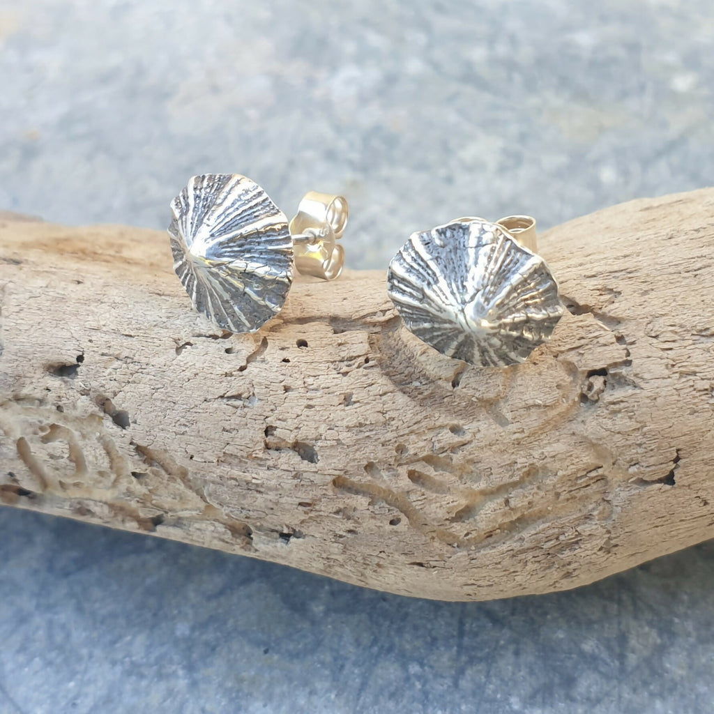 Silver Limpet Shell Earrings - Studs