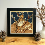 Song Thrush - Framed Giclee Print