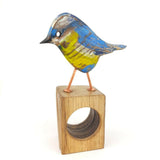 Lively Blue tit 4. 1024