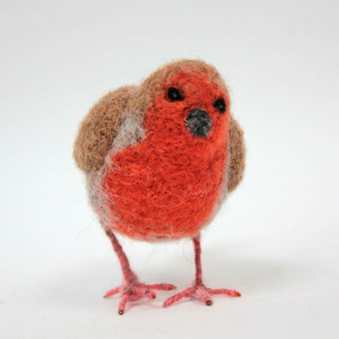Robin 1