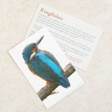 Kingfisher - Hand Painted Brooch