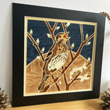 Song Thrush - Framed Giclee Print