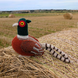 Angus the Pheasant - Knitting KIt