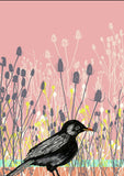 Blackbird - Art Print