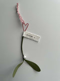 Hanging Mistletoe with Heart