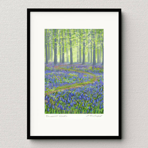 Bluebells in frame