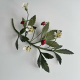 Wild Strawberry - Paper Sculpture
