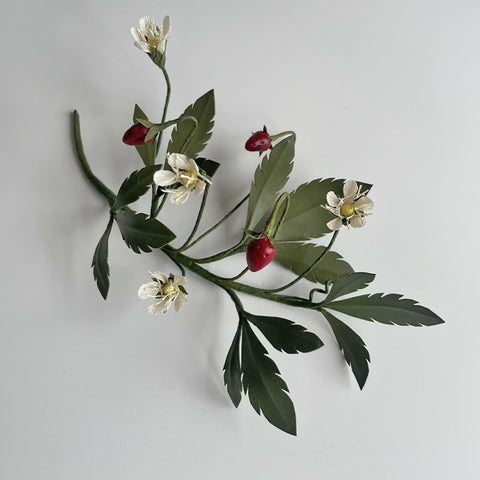 Wild Strawberry - Paper Sculpture