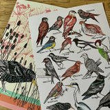 Fenland Birds - Art Print