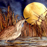 That Night Of Golden Moon Saw Bittern Pause To Wonder - Limited Edition Giclee Print