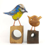 Blue tit wren 1024