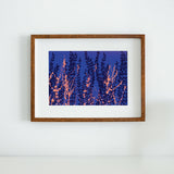 Jewels in The Fen, No. 2 - Art Print