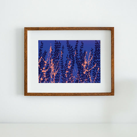 Jewels in The Fen, No. 2 - Art Print