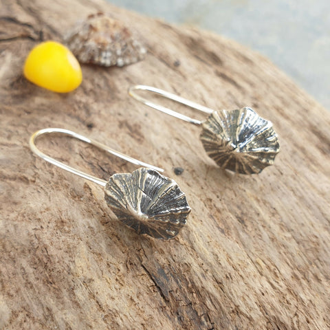 Silver Limpet Shell Earrings - Wires