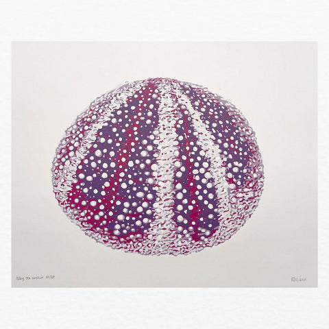 sea-urchin-final