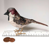 House Sparrow - Papier-Mâche Sculpture