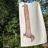 Dachshund Tea Towel