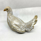 Fantail Dove
