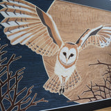 Barn Owl - Giclee Print