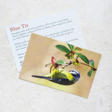 Blue Tit - Hand Painted Brooch