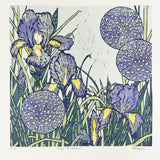 Irises and Alliums 3