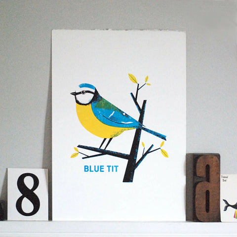 CA-Blue-tit